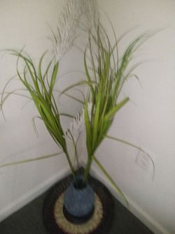 Flower vase and Trey decor