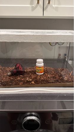 Reptile Tank