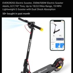 Electric Scooter 