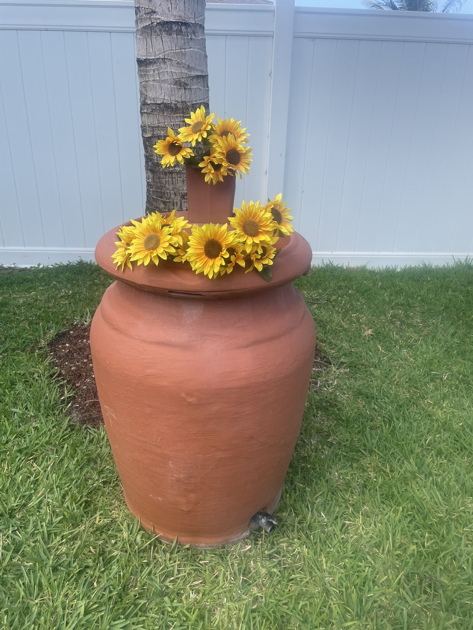 Rainwater Collection