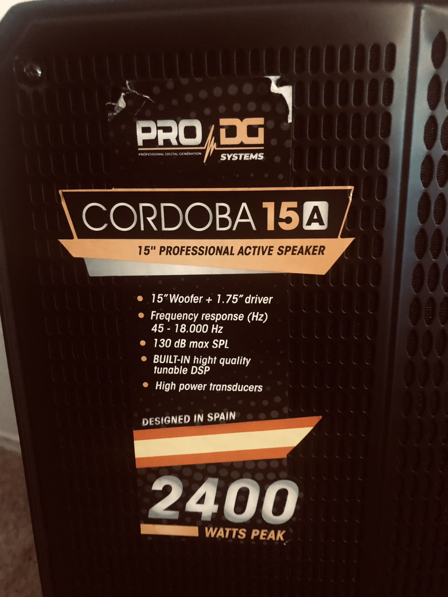 PA Amplified Speaker Pro DG