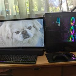 Recently Upgraded Gaming PC
