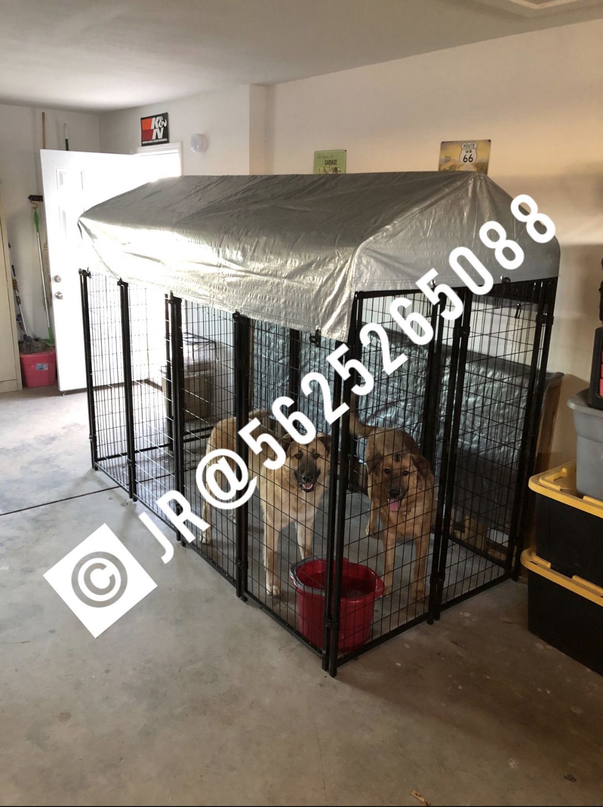 Large welded wire steel dog kennel cage jaula new