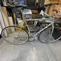 Bianci Pista 55cm