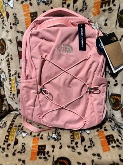 The North Faces  Bag Pack 