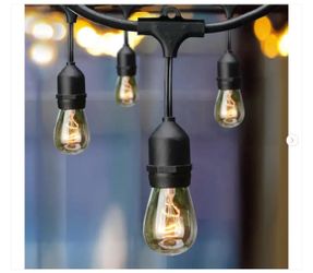 Hampton Bay 12-Light 24 ft. Indoor/Outdoor Plug-In Incandescent Edison Bulb String Light - ew