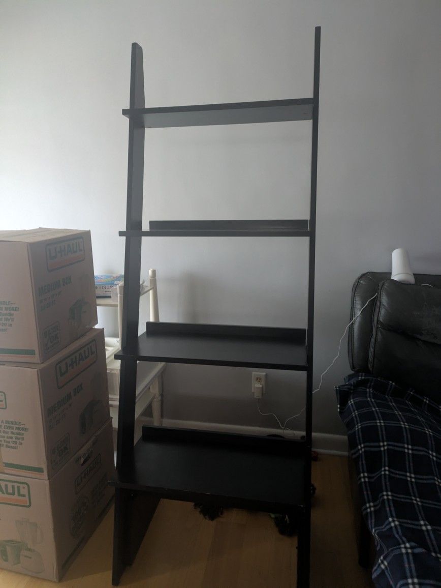 Ladder Shelf