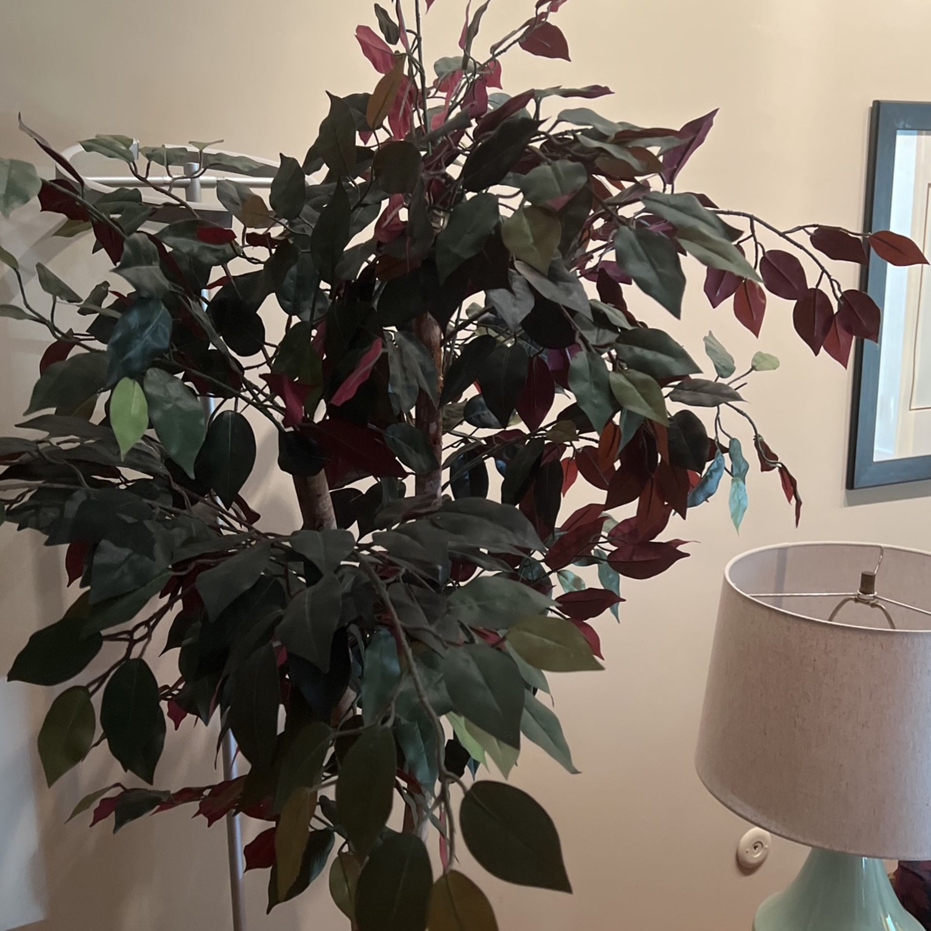 76” Tall Silk Plant for Sale in Glenview, IL OfferUp