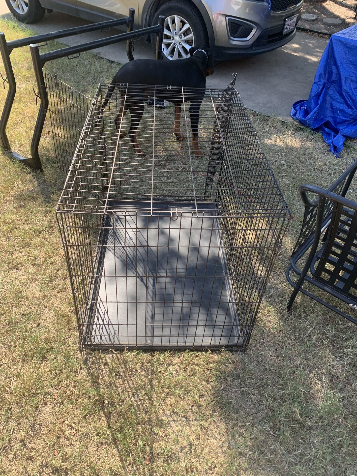 Large Dog Crate With Two Doors And base