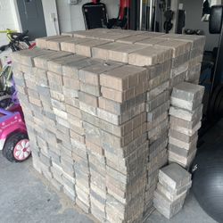 Brick Pavers.   550 Pcs.   6”x9” 