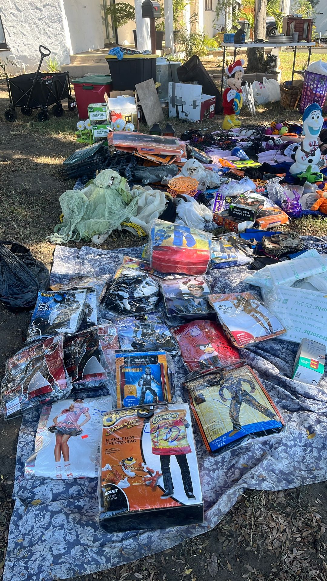 Halloween Costumes And Decorations 