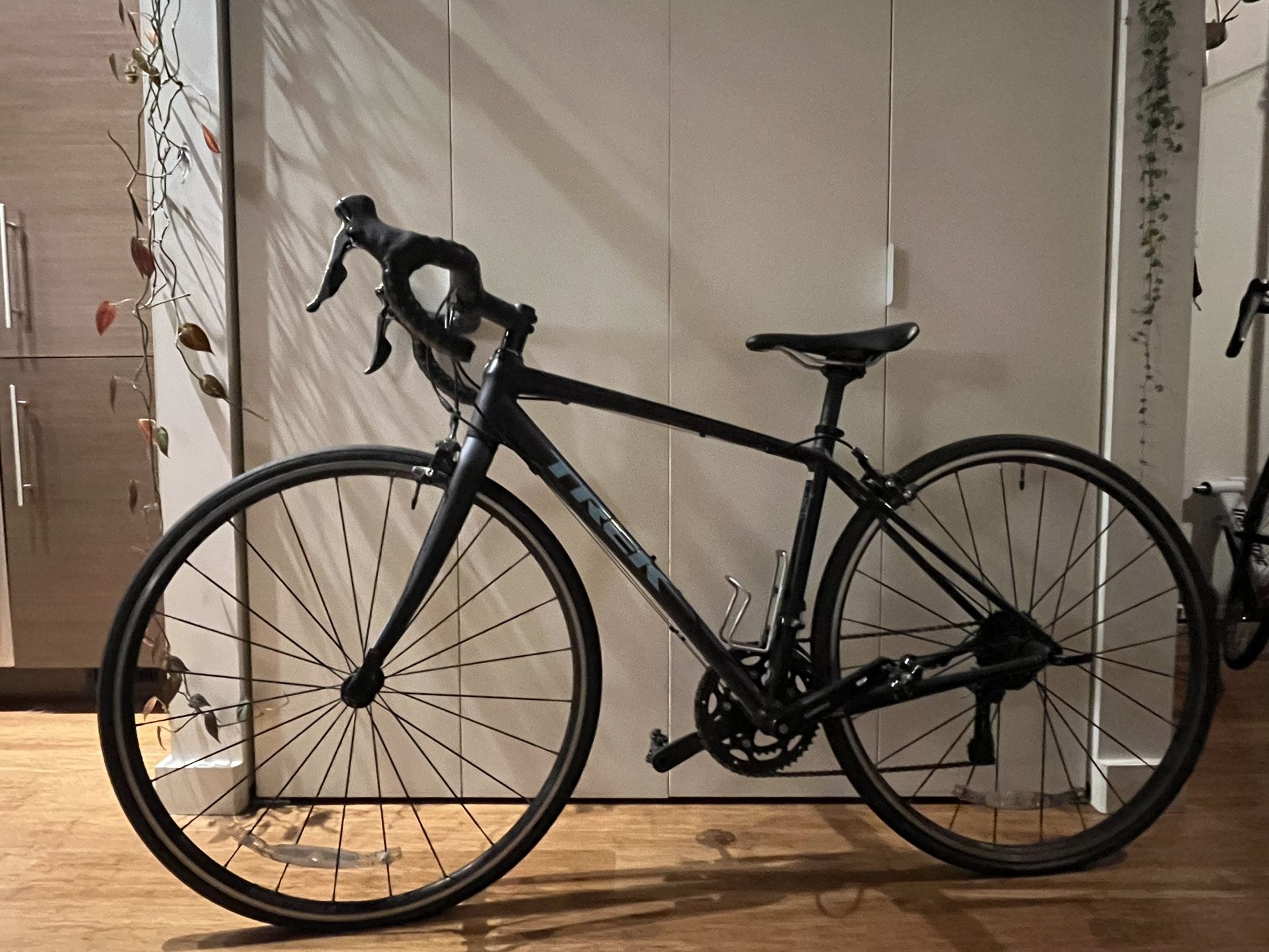 Trek Domane AL 2 (2020 Size 49)