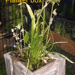 Large Planter Box With 8 Kinds Of Flowers 