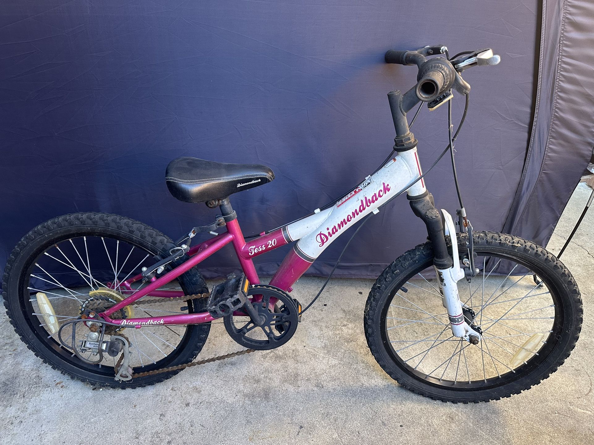 Kids 20 Inches Mountain Bike