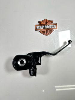 2014-2022 Harley Davidson Sportster Iron/Forty Eight Front Brake Master Cylinder OEM.OBO. SM9KNT0570