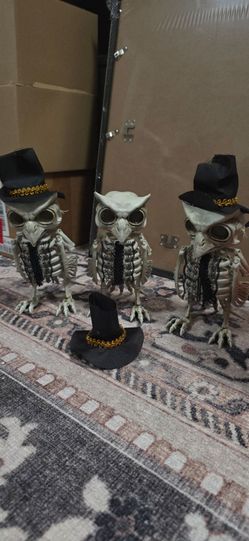Halloween 3 pc skeleton owls