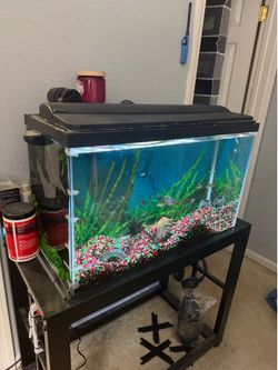 Fish Tank Aquarium Set – Complete Setup (Ready to Go!)