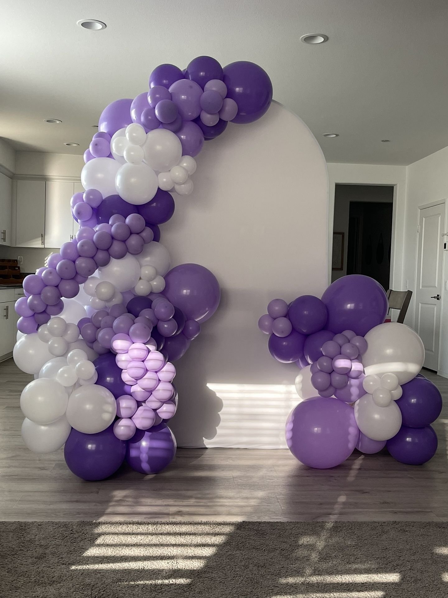 Balloons & Backdrop