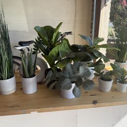 Lot Of Artificial Plants Succulents