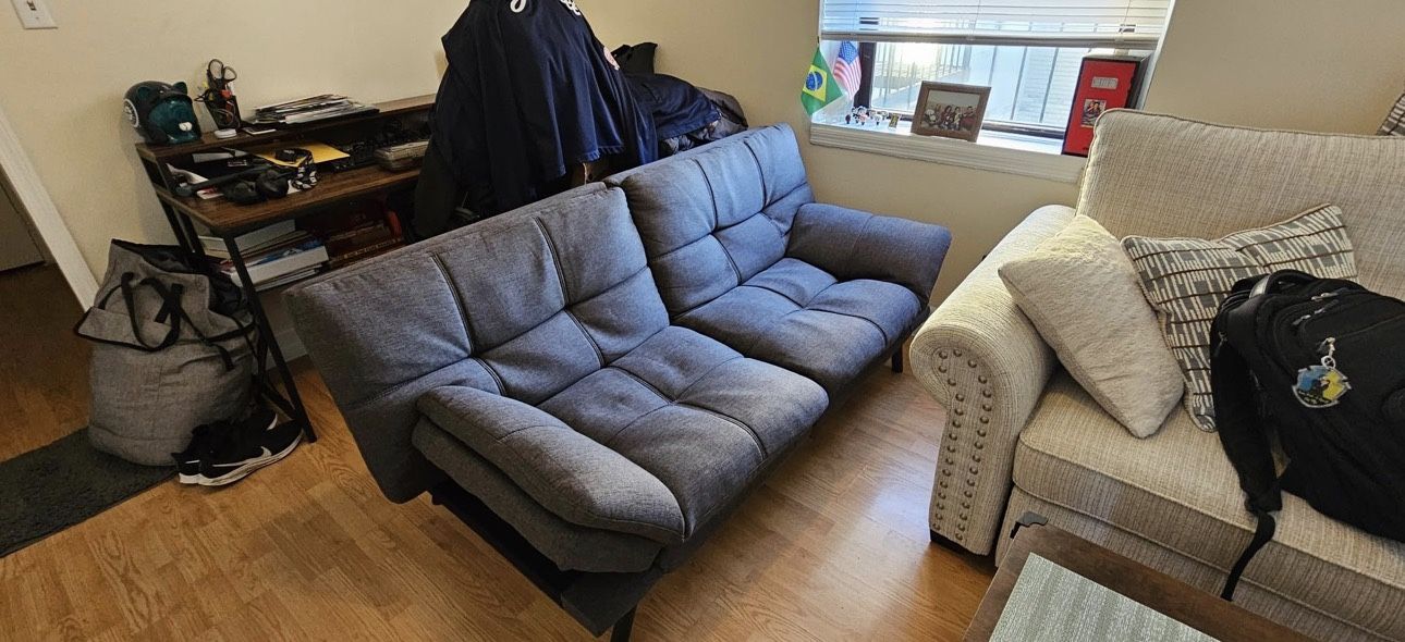 Convertible Futon Sleeper - Couch