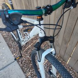 GT 29er Mountain Bike 