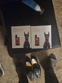 Remote Dog Training Collar