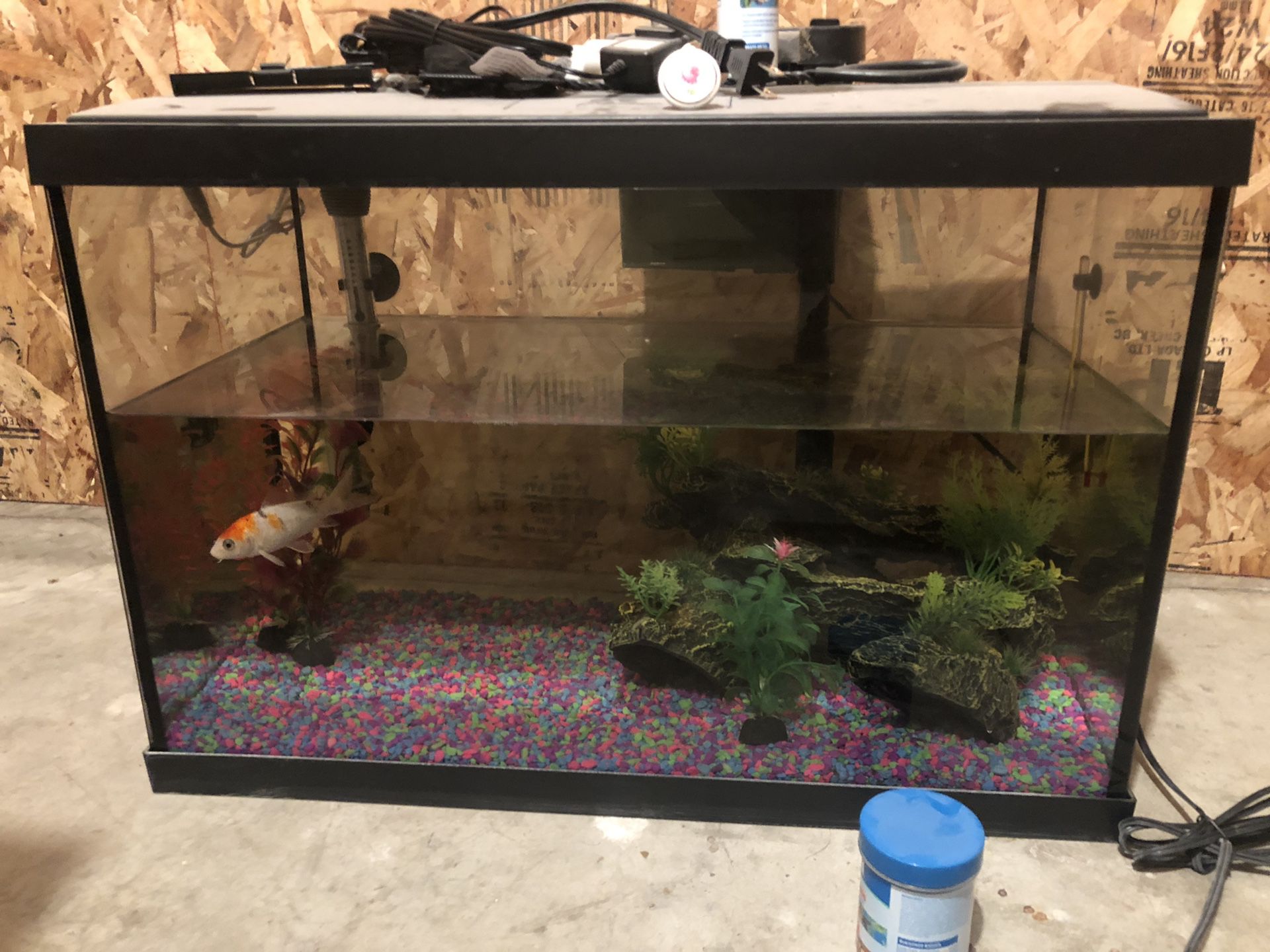 20 gallon fish tank set