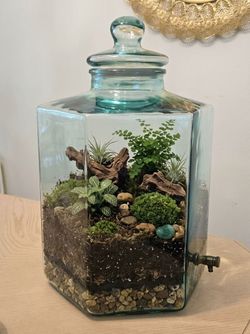 VINTAGE 5 Gallon Green Glass Hexagon Made in ITALY , GREAT FOR TERRARIUM