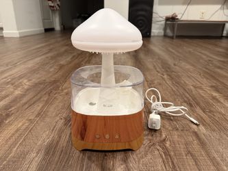 Mushroom Rain Cloud Humidifier - Used, Works Great