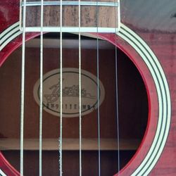 Acoustic Electric Guitar 