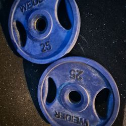 25LBS grip weights