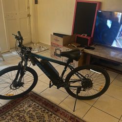 electric bike