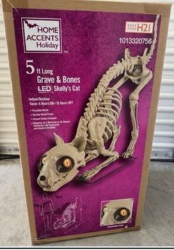 5 Ft Long Grave & Bones LED Skelly's Cat