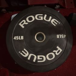 Rogue Echo 45s Pair Plates For Sale 