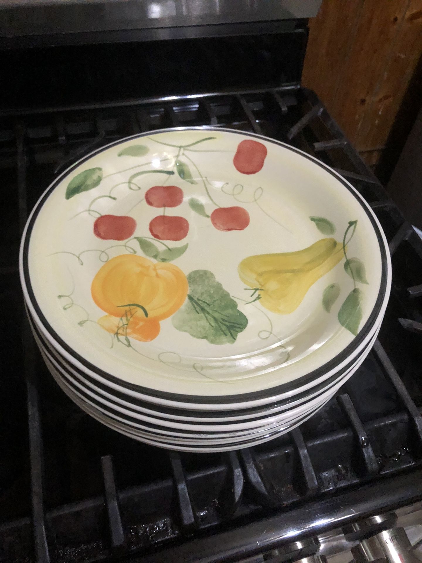 Microwave And Dishwasher Safe Plates.