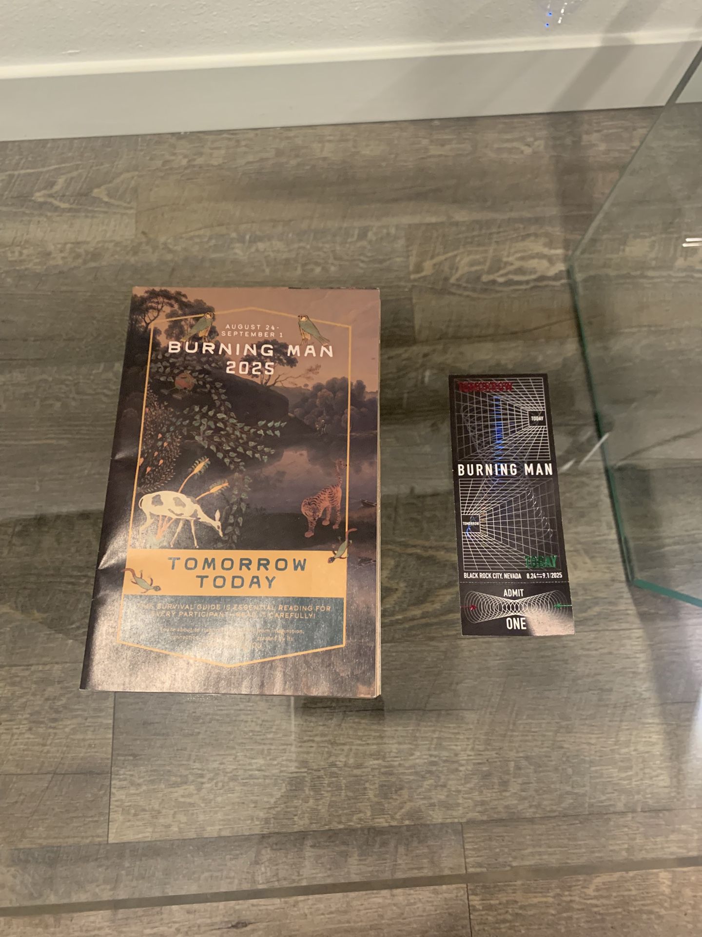🔥Selling Burning Man 2025 ticket🔥