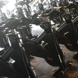 20 SPINNING NXT black belts 