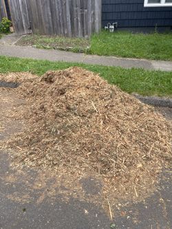 Free! Douglas Fir chips