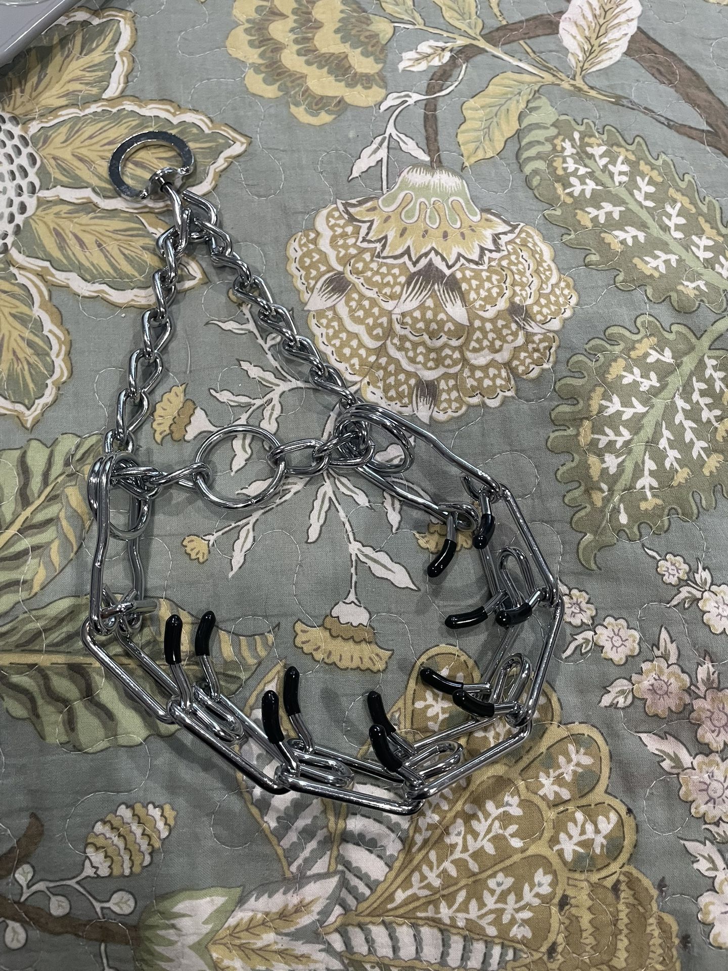 Prong Dog collar