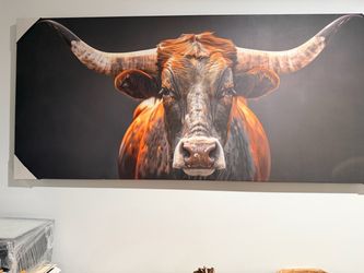 BULL CANVAS NEW
