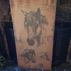 Streched Canvas Horse Art