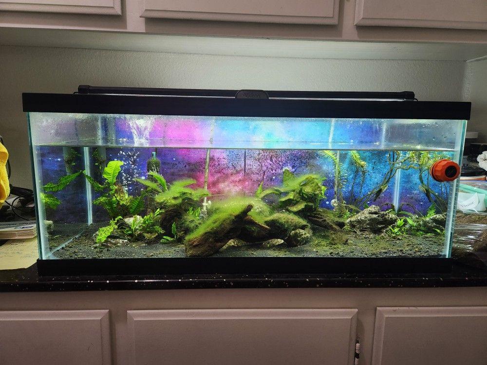 20 Gallon Long