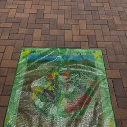 Original Signed Canvas — Barbara Grant, 2001
