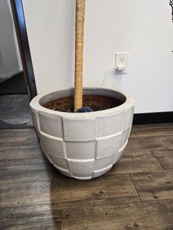 Large pots for sale!