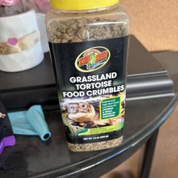 tortoise food