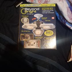 Beyond Bright Garage Light