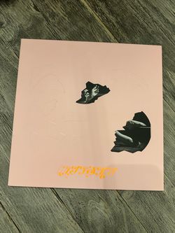 Mitski- The Land Is Inhospitable and So Are We