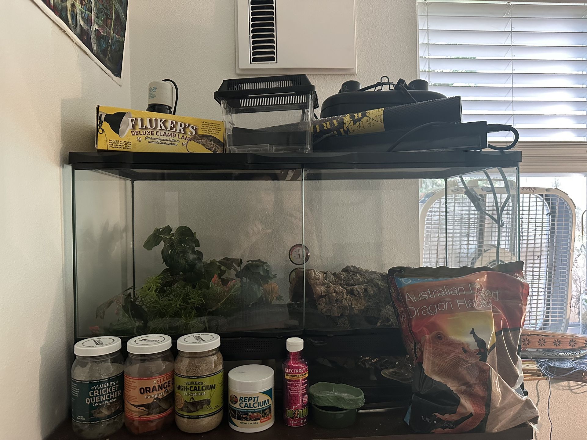 Terrarium Setup