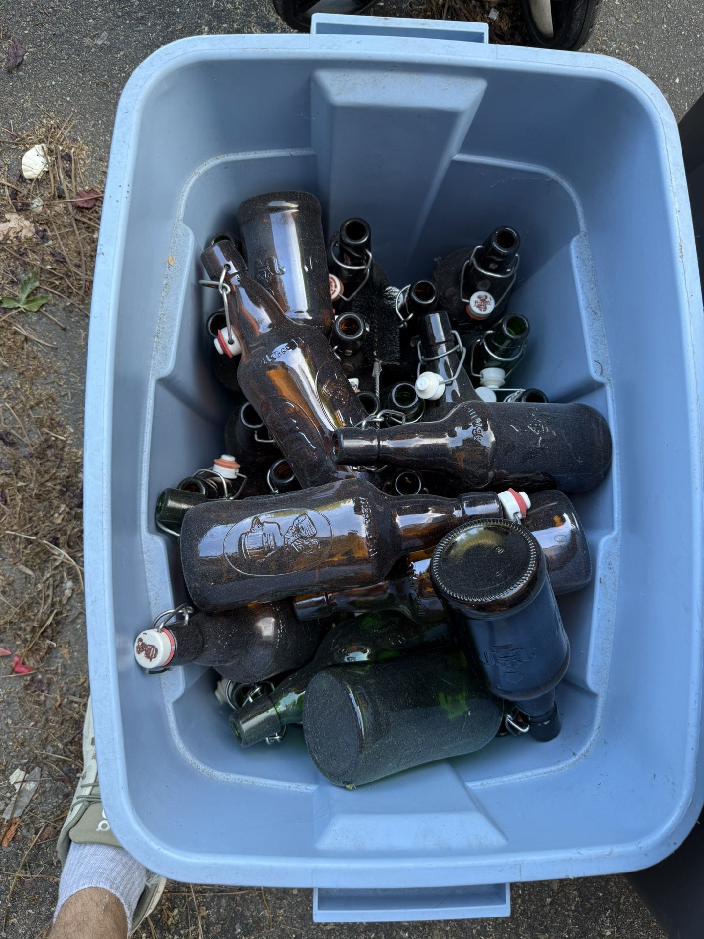 Flip-Top Grolsch Style Beer Bottles For Homebrewing