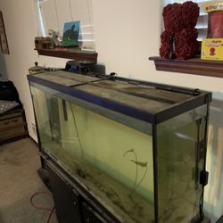 75 Gallon Fish Tank And Stand